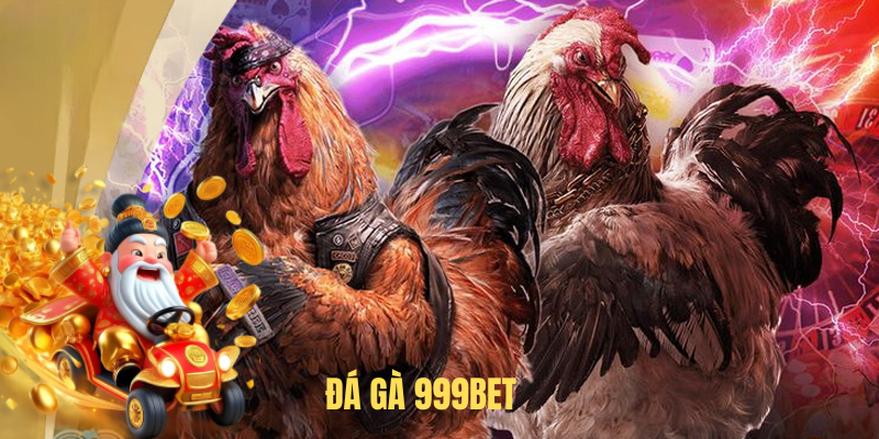 Đá Gà 999BET – Cá Cược Đỉnh Cao, Cơ Hội Thắng Lớn